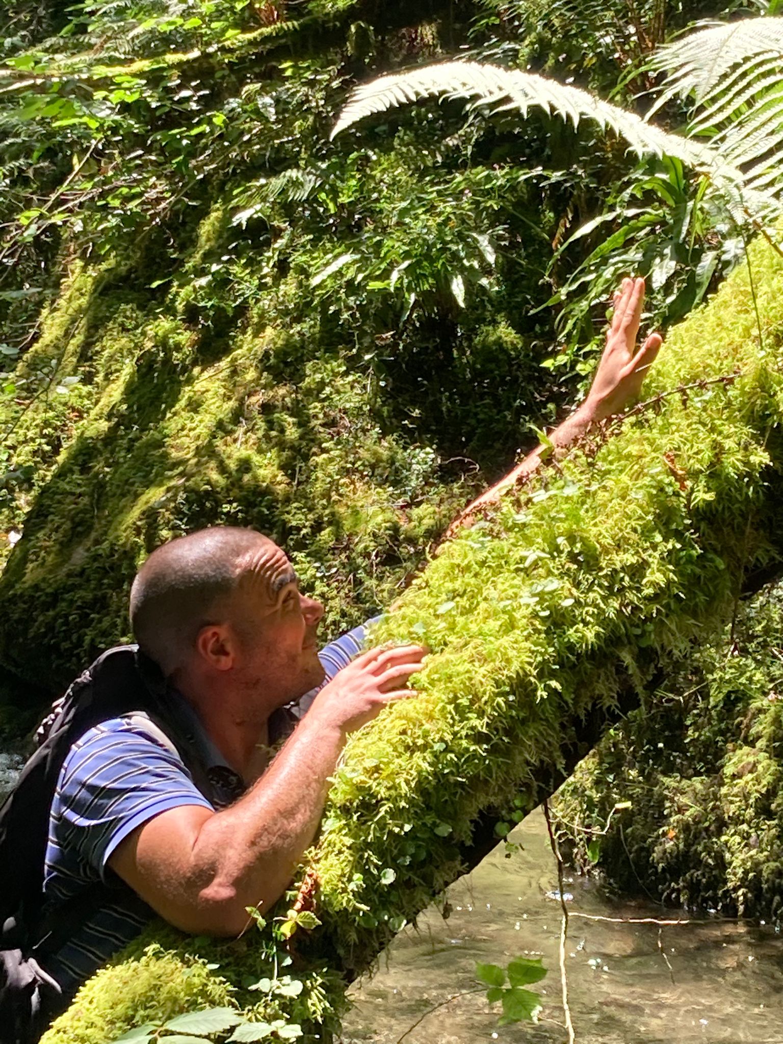 Profil de Gabyn, 41 ans, Adultère à Uxbridge